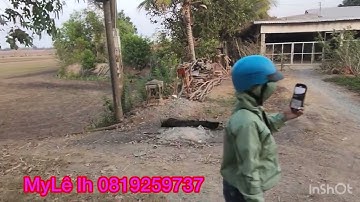 Cần bán nhanh DT 4 mẫu 3 giá 130 triệu 1 công thuộc huyện mộc hóa tỉnh Long An