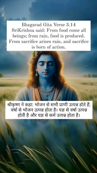 Bhagavad Gita Chapter 3 Verse 14 Sanskrit Verse In Description bhagavad-gita-chapter-3-verse-14-sanskrit-verse-in-description