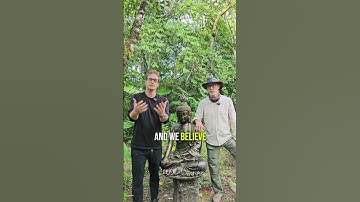 Consciousness and connection: how you can transform your life!