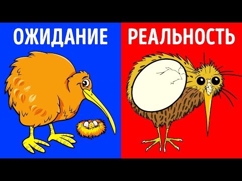 7 Самых Экстремальных Родов Животного Мира