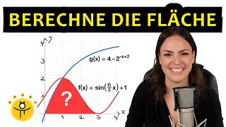 Mathe ABITUR - Analysis, Integrale