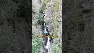 Poinsett State Park hides a waterfall most South Carolinians never find.