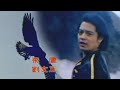 華語歌壇的第一支MV：1981 劉文正《飛鷹》