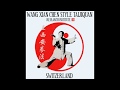 Wang xians chen style taijiquan  instructional for taiji yangsheng zheng qigong