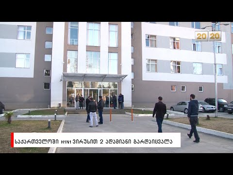 საქართველოში H1N1 ვირუსით 2 ადამიანი გარდაიცვალა