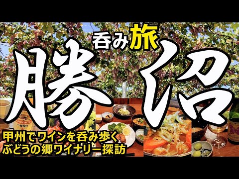 甲州勝沼 ひとり旅 ぶどうの郷ワイナリー探訪 ワイン呑み歩き🍷