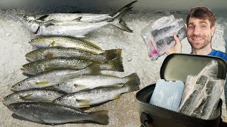 How To Fly On A Plane With Fish You Caught