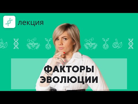 Виды ЕСТЕСТВЕННОГО ОТБОРА! ЭВОЛЮЦИЯ в ЕГЭ 2022 по биологии | Практика