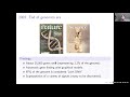 Lecture 11 on kernel methods string kernels