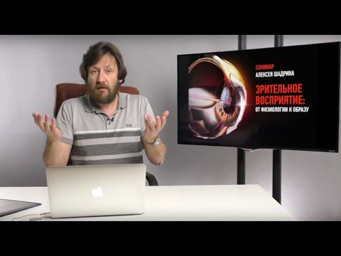 Зрительное восприятие: от физиологии к образу. Представление. Алексей Шадрин