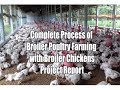 Complete Process of Broiler Poultry Farming with Broiler Chickens Project Report