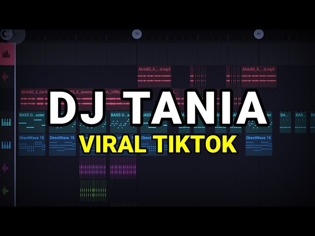 DJ TANIA VIRAL TIKTOK 2023 REMIX FULL BASS class=
