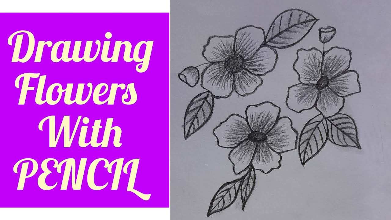 How to draw FLOWERS |Drawing Flowers with Pencil |Step by step # ...