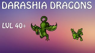 [Lvl 40+] Dragones de Darashia | Tibia