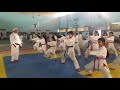 Karate Basic Training By Shito Ryu Karate School 