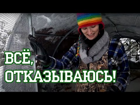 Вера больше не хочет кормить птиц