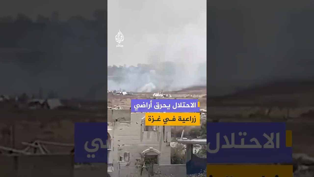 قوات الاحتلال تُحرق أراضي زراعية شرق البريج شمال شرق غزة