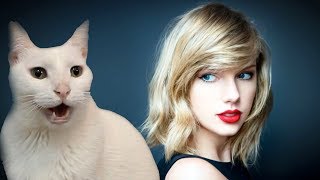 Cats Sing Blank Space | Taylor Swift  Cats Version