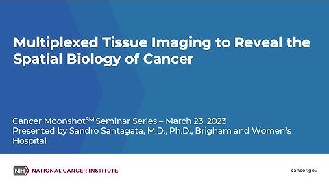 Multiplexed Tissue Imaging to Reveal the Spatial Biology of Cancer