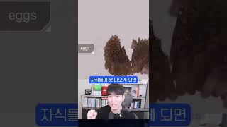 3200만 마리 모기를 풀어놓는 구글의 속셈 ㄷㄷ