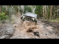 Лесной offroad. Сцепление покинуло чат. Слабоумие и отвага.