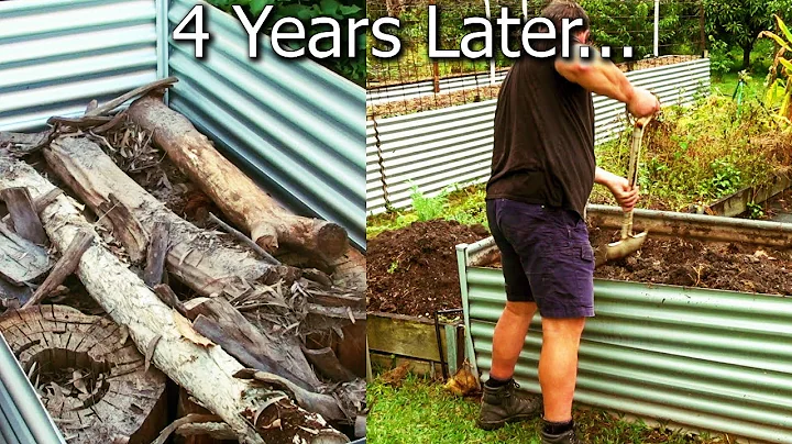What Happens When You Bury Logs in the Veggie Garden Raised Bed? - DayDayNews