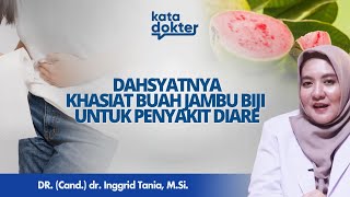 Manfaat Buah Dan Daun Jambu Biji Yang Harus Kamu Ketahui l Kata Dokter