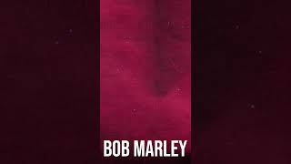 Bob Marley – Natural Mystic