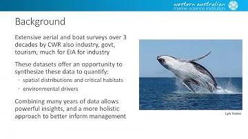 Modelling the spatial distribution of humpback whales in the Kimberley