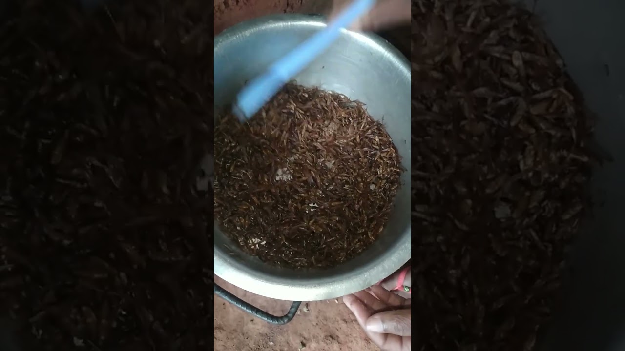 Uma comida que só existe em Moçambique