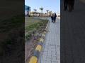 #viral #viralreels #video