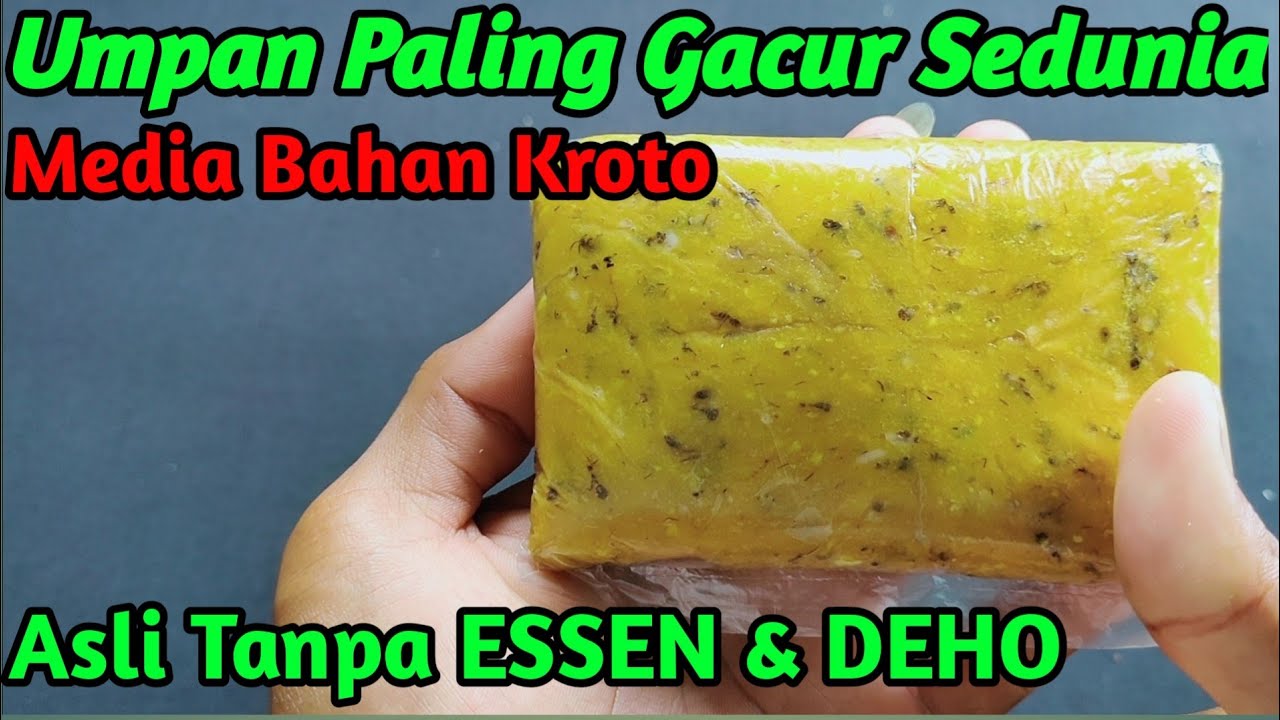 Racikan Umpan Jitu Ikan Mas Penguras Empang & Kolam/Paling Gacur