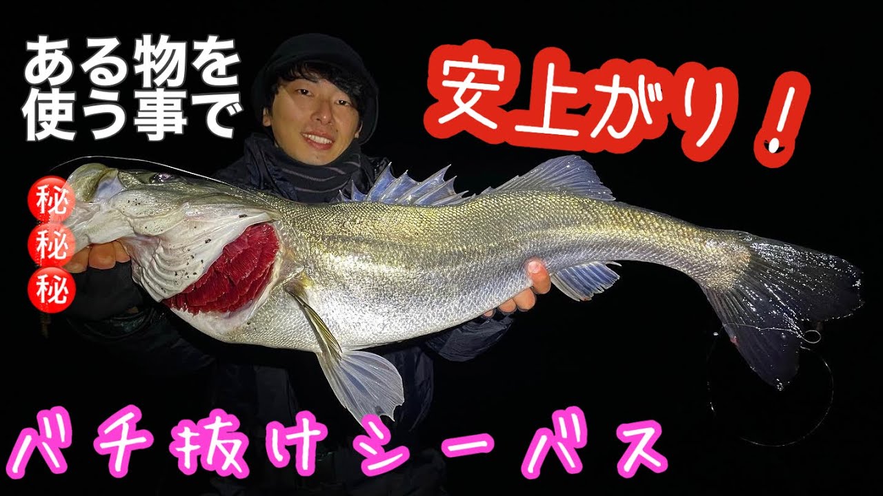 シーバス バチ抜けパターンの安上がりな釣り方 Youtube