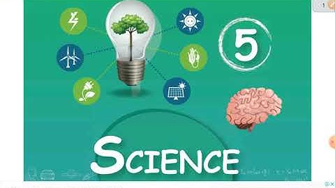 CLASS V / SCIENCE / Term 1 /  Samacheer new syllabus  / Organ Systems / Digestive System