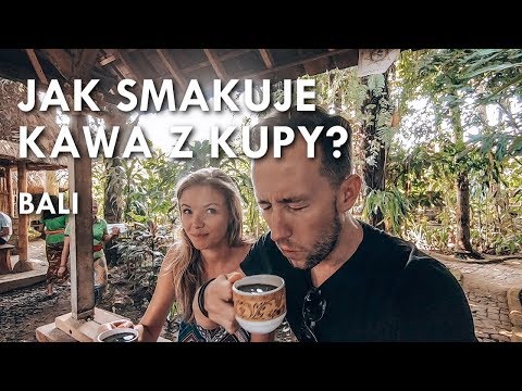 Wideo: Jak Powstaje Kawa Kopi Luwak