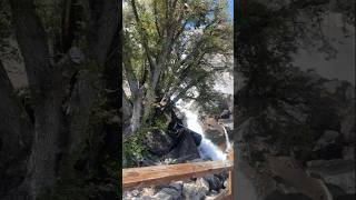 YOSEMITE 🏞️WATER 🌊FALL 🌊😍⛲😍🌊 🤩🏞️🌊⛲🌻In California USA #shorts #viralshorts #yosemitefalls
