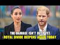 Did Prince Harry Trigger A Royal Decline? Critics Think So