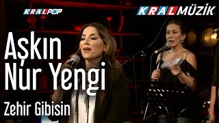 Aşkın Nur Yengi - Zehir Gibisin (Kral Pop Akustik)