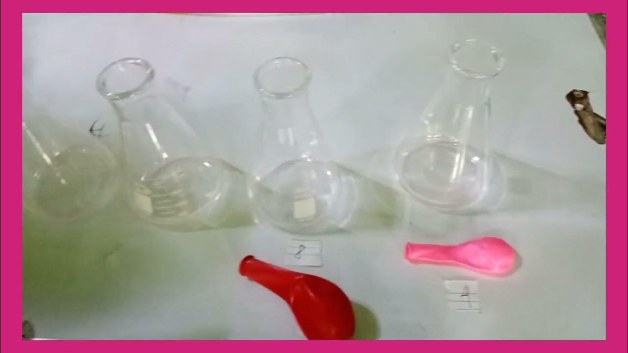 GAS LAW (experiments) YouTube