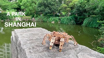 Ugears Hexapod Explorer in a park in Shanghai