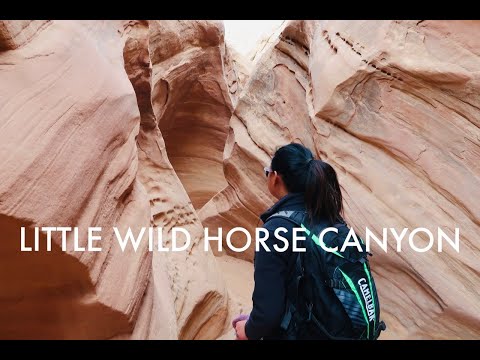 Cosmopolitan Las Vegas: One Bedroom Terrace Suite Strip View Walk Through Room Tour 2021