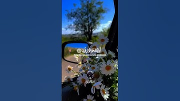 والذين هم على صلواتهم يحافظون #اكسبلور  #ياسر_الدوسري #سورة_المؤمنون #القرآن_الكريم #الله #كتاب_الله