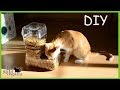 DIY TOLVA PARA PIENSO RECICLANDO GARRAFAS | MUY FÁCIL Y BARATA | PERROS, GATOS, AVES | DIY HOPPER