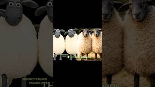 shaun the sheep characters in real life part 8