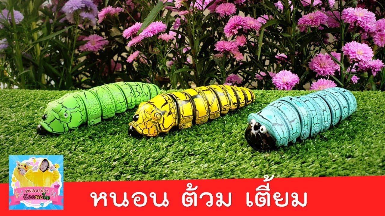 หนอน ต้วมๆเตี้ยมๆ ออกมาจากไข่ | รีวิว  หนอนของเล่นบังคับด้วยรีโมท ประกอบเพลง หนอนผีเสื้อ