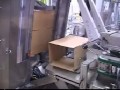 Case loading, shrink bundling, palletization of pharmaceutic
