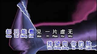 解伟苓  《 你是我的眼 》  ni shi wo de yan