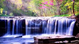 Relaxing Piano Music • Sleep Music, Water Sounds, Relaxing Music,