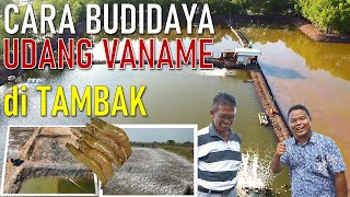 CARA  BUDIDAYA  UDANG  VANAMAE  DI  TAMBAK