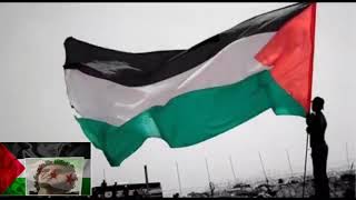 حالات واتس اب+استوريات علم الثورة وعلم فلسطين❤